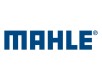 Mahle R Textimage