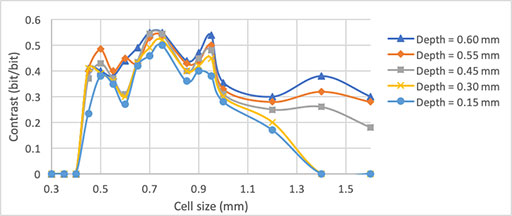 Evolution of contrast in relationship with cell size